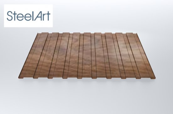Профнастил C20 SteelX SteelArt